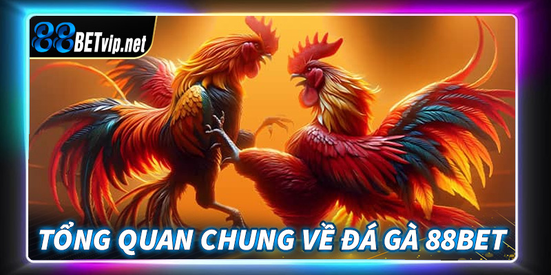 Giới thiệu khái quát tổng quan chung về sàn đá gà 88Bet