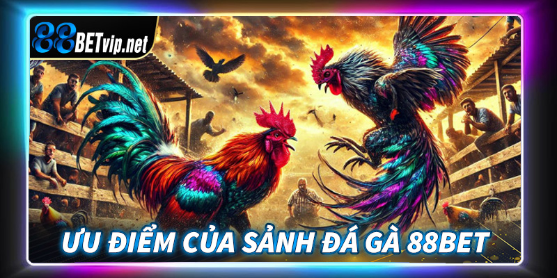 Những điểm nổi bật của sảnh đặt cược đá gà 88Bet anh em cược thủ nên nắm được